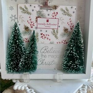 EW! Believe in Magic Christmas Photo Frame Shadow Box